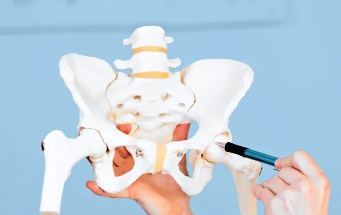 Skeleteon hip diagram